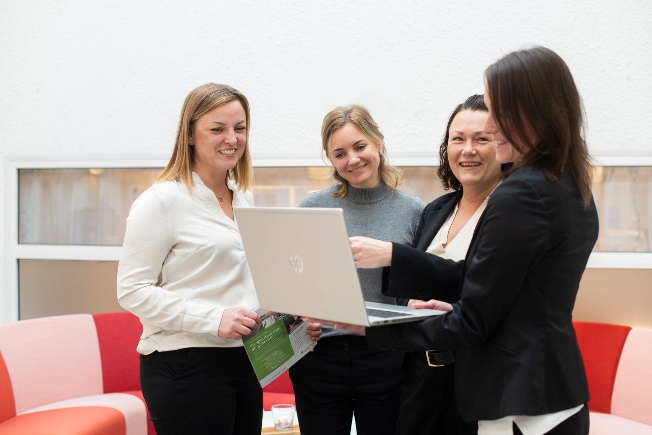 Revisionsberättelse